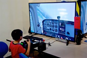 Flight Simulator Rally