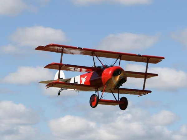Untamed Skies of WWI